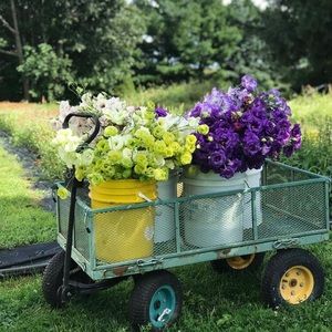 Meet your Posher, Meredith